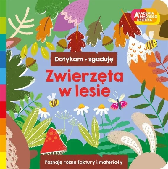 edukamp-3202606101758093605423