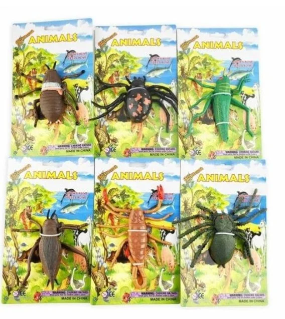 edukamp-3202606102147073629953
