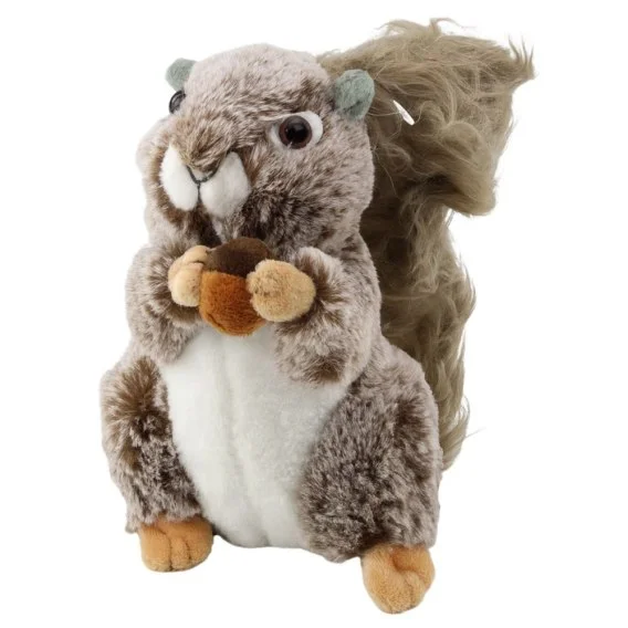 edukamp-3202606102327033636088