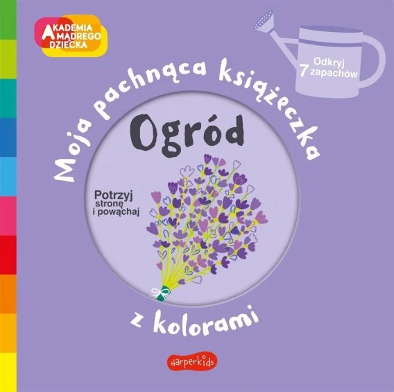 edukamp-3202606111221299970