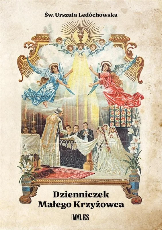 edukamp-32026061114125817885
