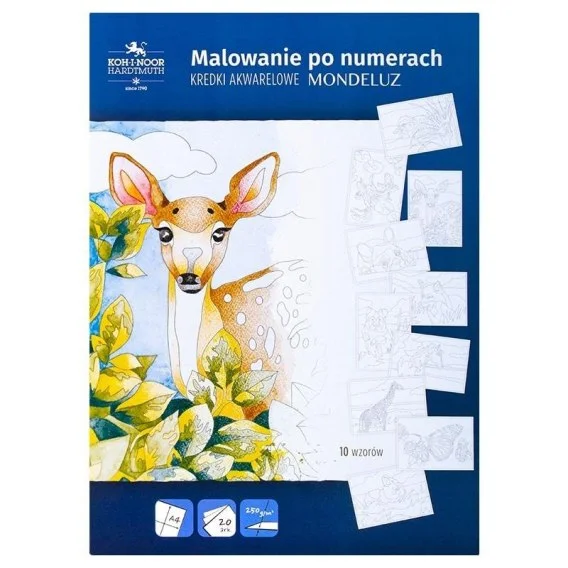 edukamp-32026061116201827042