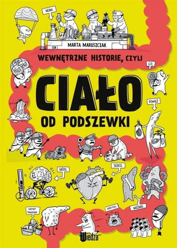 edukamp-32026061202271968119