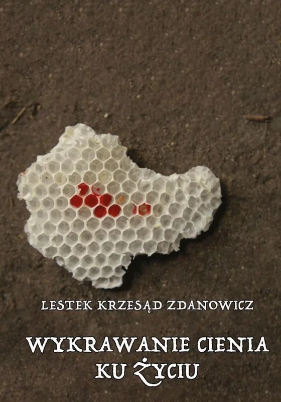 edukamp-32026061204482578240