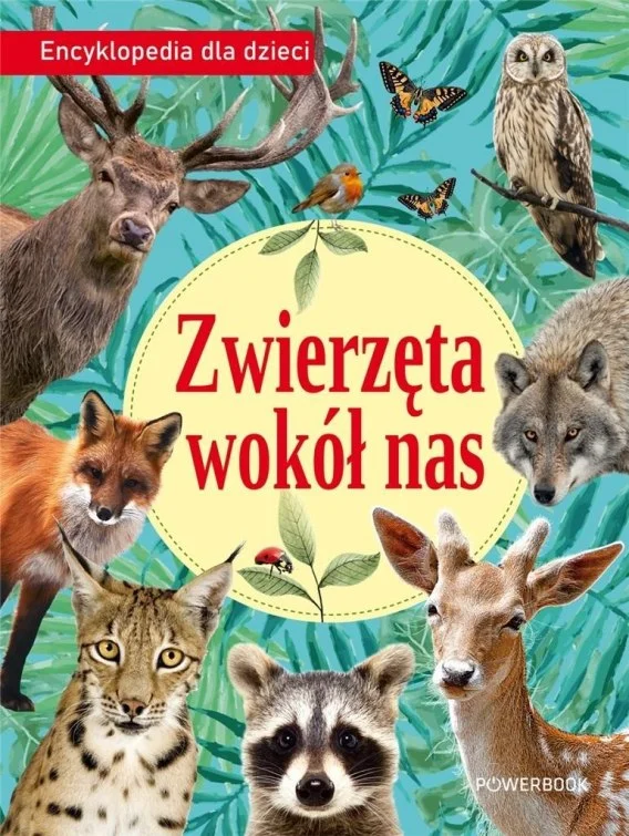 edukamp-32026061206315285070