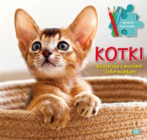 edukamp-32026061208374790441