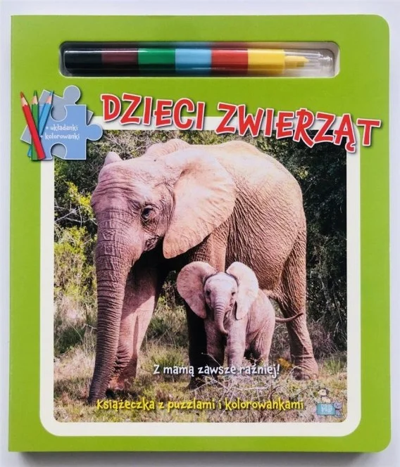 edukamp-32026061208411790588