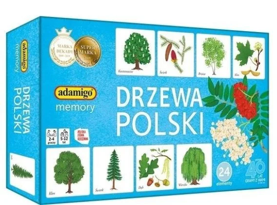 edukamp-32026061210045694507