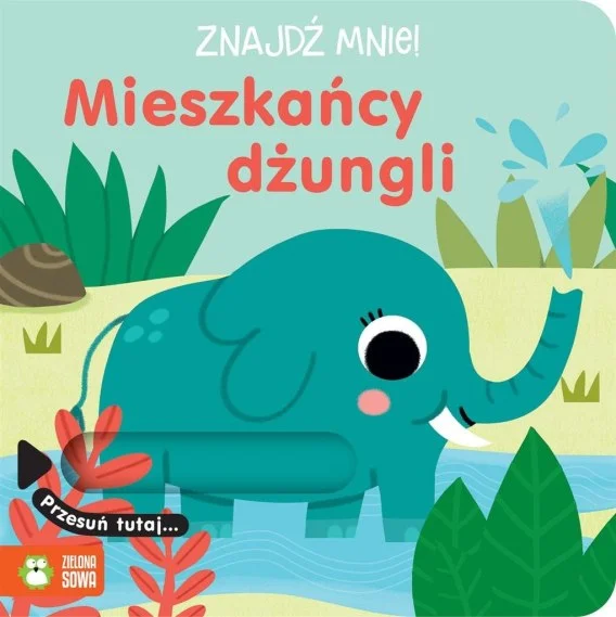 edukamp-320260612121538116226