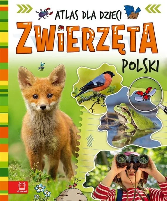 edukamp-320260612121615116268