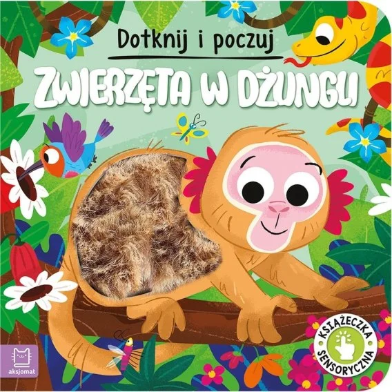 edukamp-320260612122314116756