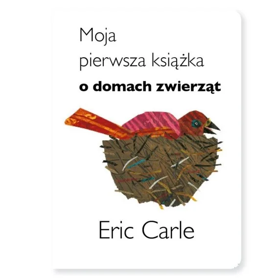 edukamp-320260612161630129056
