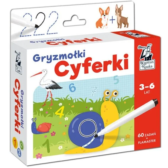 edukamp-320260612174740137657