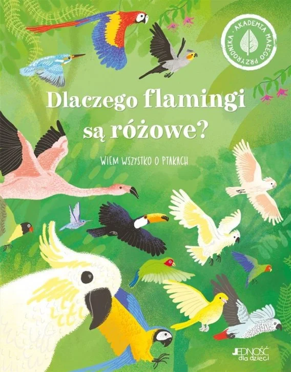 edukamp-320260612191710151014