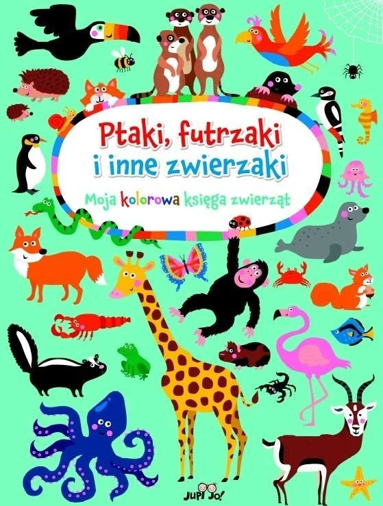 edukamp-320260613010742203705