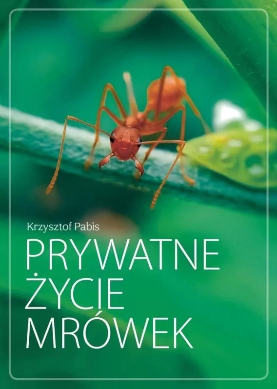 edukamp-320260613060707235073