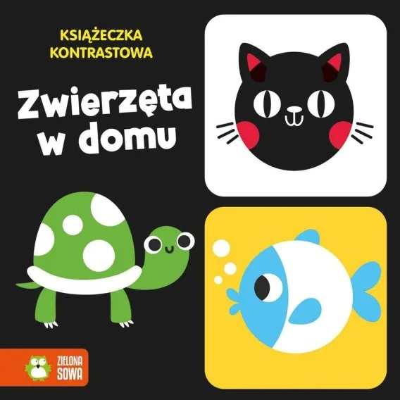 edukamp-4202606101154133544833
