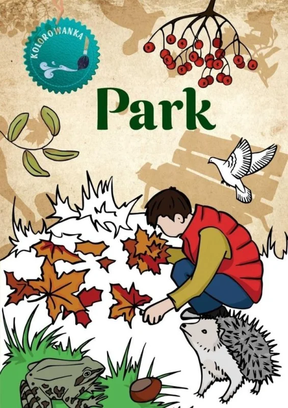 edukamp-42026061112364810999