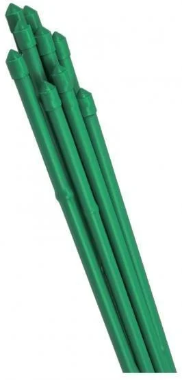 edukamp-42026061112480511686