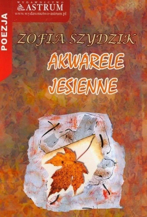 edukamp-42026061200493060915