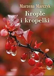 edukamp-42026061201211963218