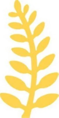 edukamp-42026061204413277729