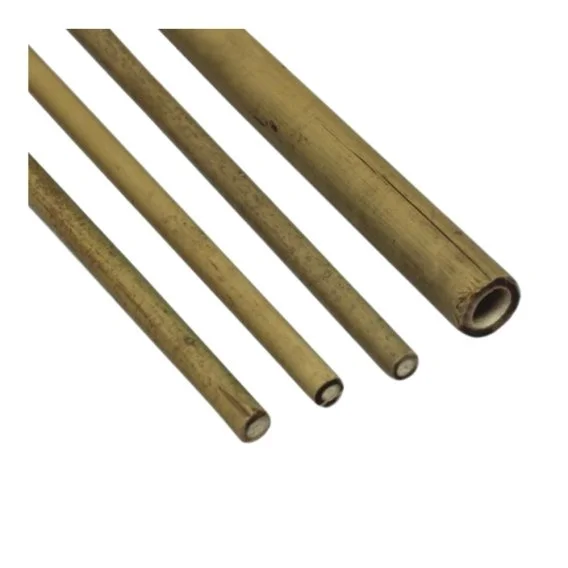 edukamp-420260612170342130959