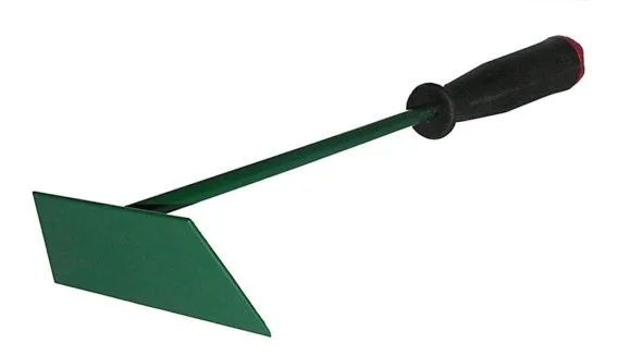 edukamp-420260612194329154516