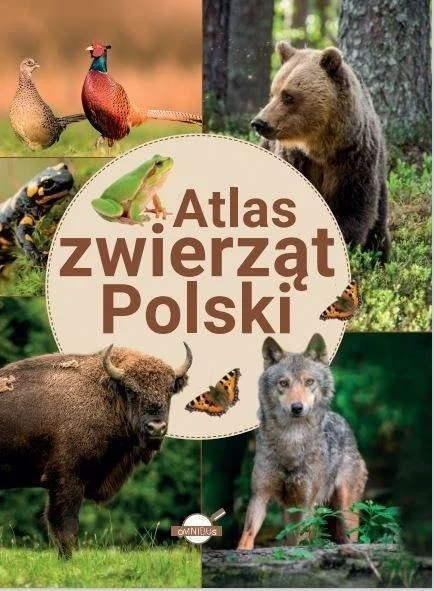 edukamp-420260613014212208076