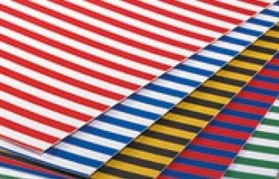 edukamp-420260613023510213546