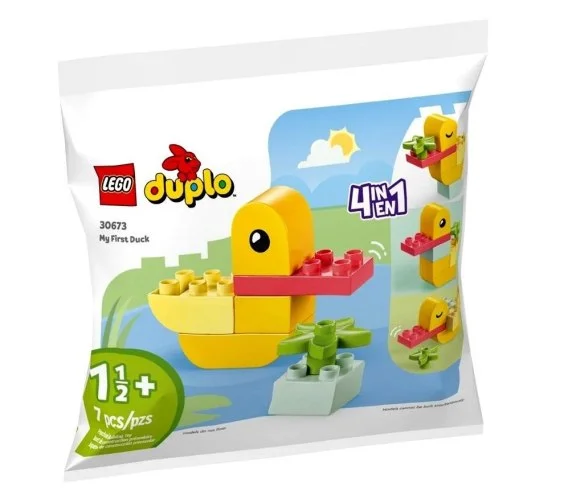 edukamp-420260613051340229797