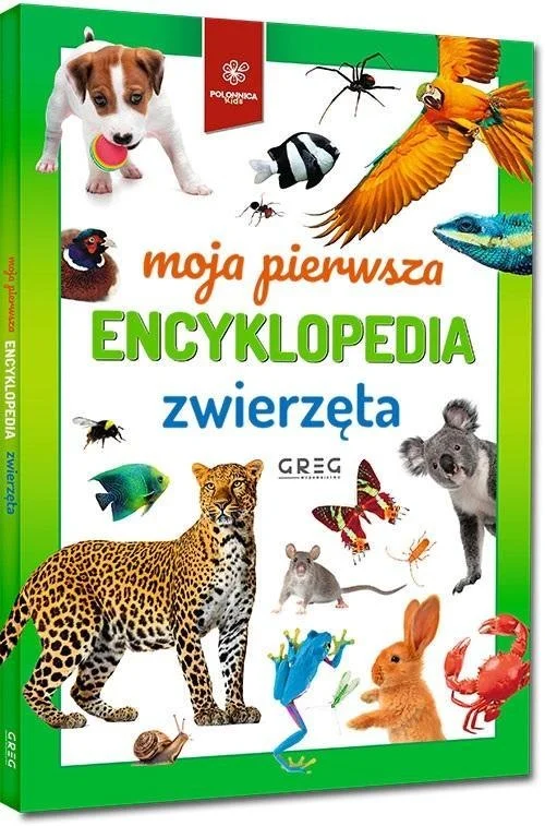 edukamp-420260613064837239344
