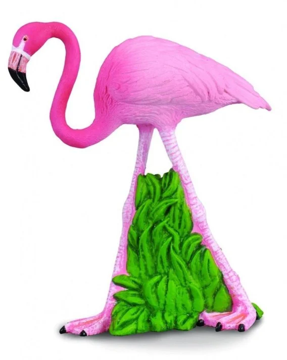 edukamp-420260613094129251484