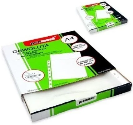 edukamp-420260613102626253548
