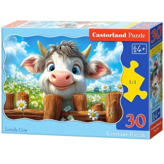 edukamp-420260613105424254435