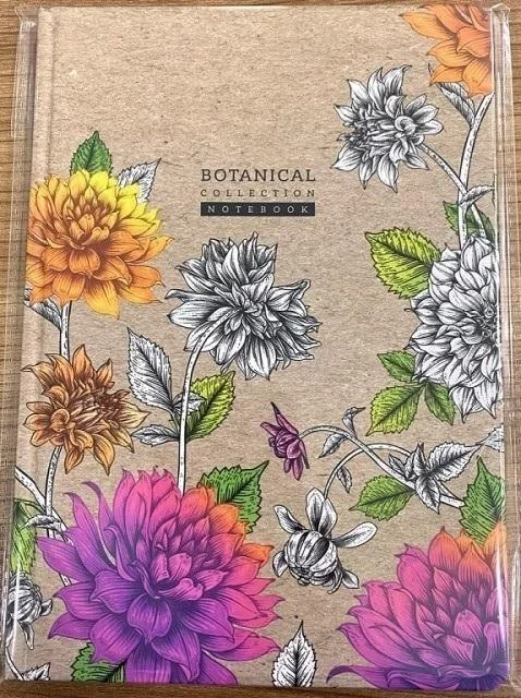 edukamp-420260613220025331499