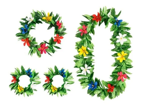 edukamp-420260613232628342432