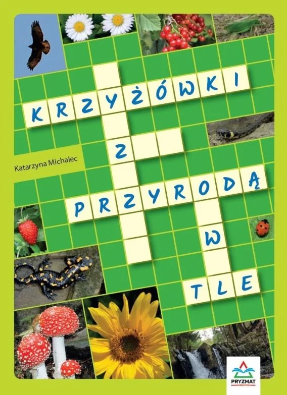 edukamp-420260614041324372069