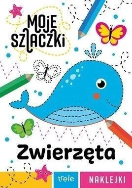 edukamp-420260614081647383596