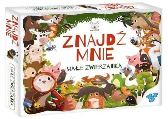 edukamp-420260614151049415469