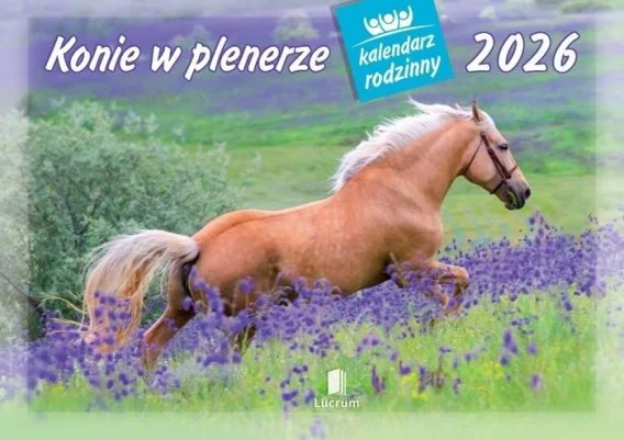 edukamp-420260614152852419340