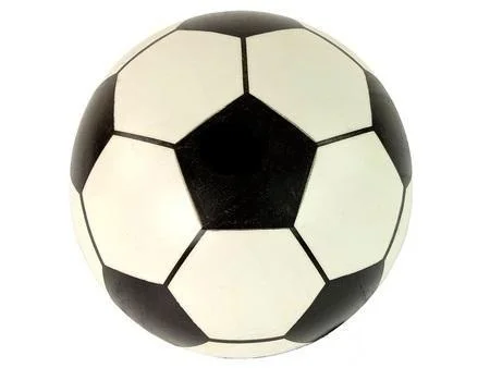 edukamp-420260614171422441543