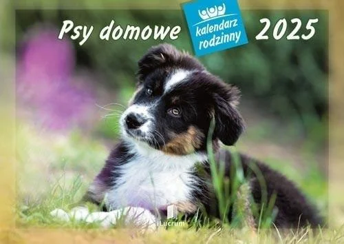 edukamp-420260614181427452404