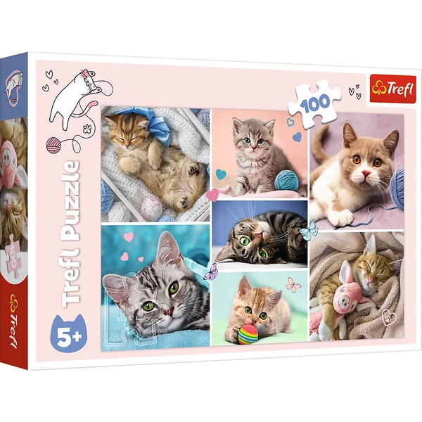 leantoys202606101148263543721